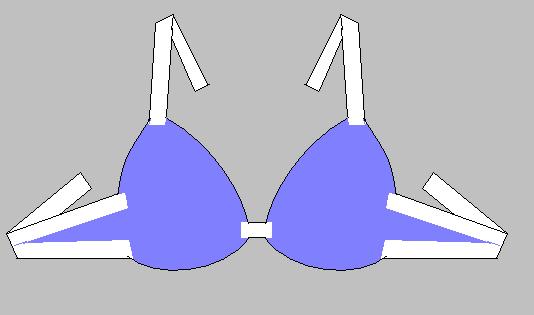 Shushanna Designs: Altering Bra Straps